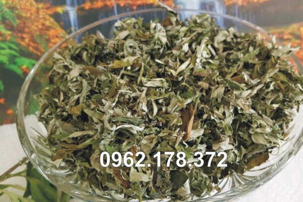 Ngải cứu khô chọn lọc, phơi trong dâm cầu kỳ cẩn thận sạch sẽ