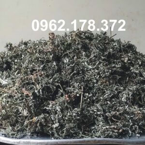 Ngải Cứu Khô nguyên lá chọn lọc kỹ, dùng sắc nước uống