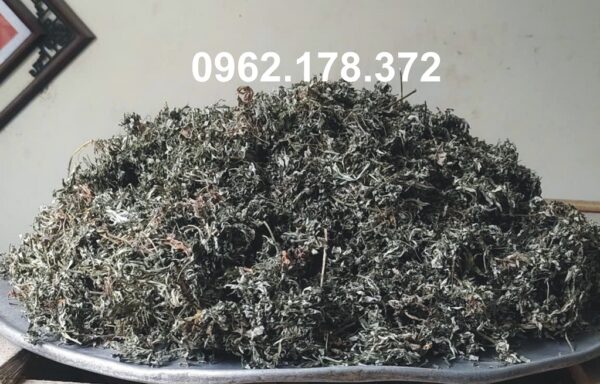 Ngải cứu khô chọn lọc, phơi trong dâm cầu kỳ cẩn thận sạch sẽ