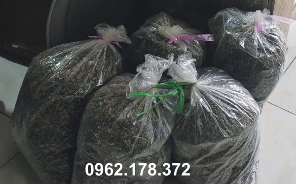 Ngải cứu khô chọn lọc, phơi trong dâm cầu kỳ cẩn thận sạch sẽ