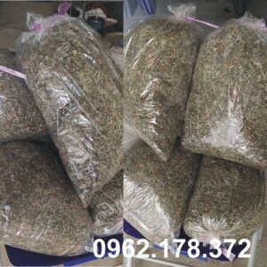 Bán Ngải Cứu Khô Chất Lượng Cao – Giá Tốt, Giao Hàng Toàn Quốc