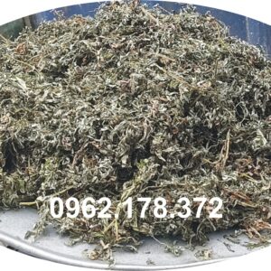 Bán Ngải Cứu Khô Tại Hà Nội Uy Tín – Giá Tốt, Giao Nhanh