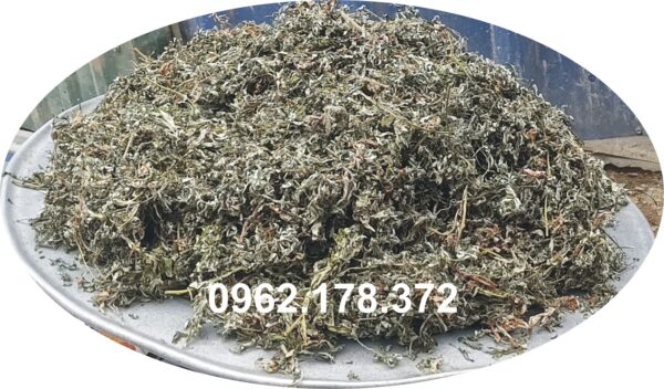 Ngải cứu khô chọn lọc, phơi trong dâm cầu kỳ cẩn thận sạch sẽ